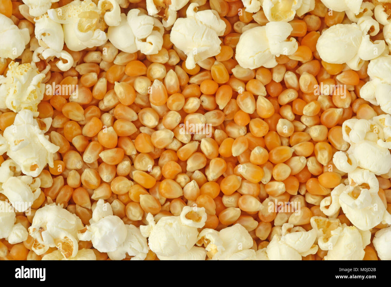 Essiccato Di Chicchi Di Mais E Pop Corn Sfondo Del Telaio Foto Stock Alamy