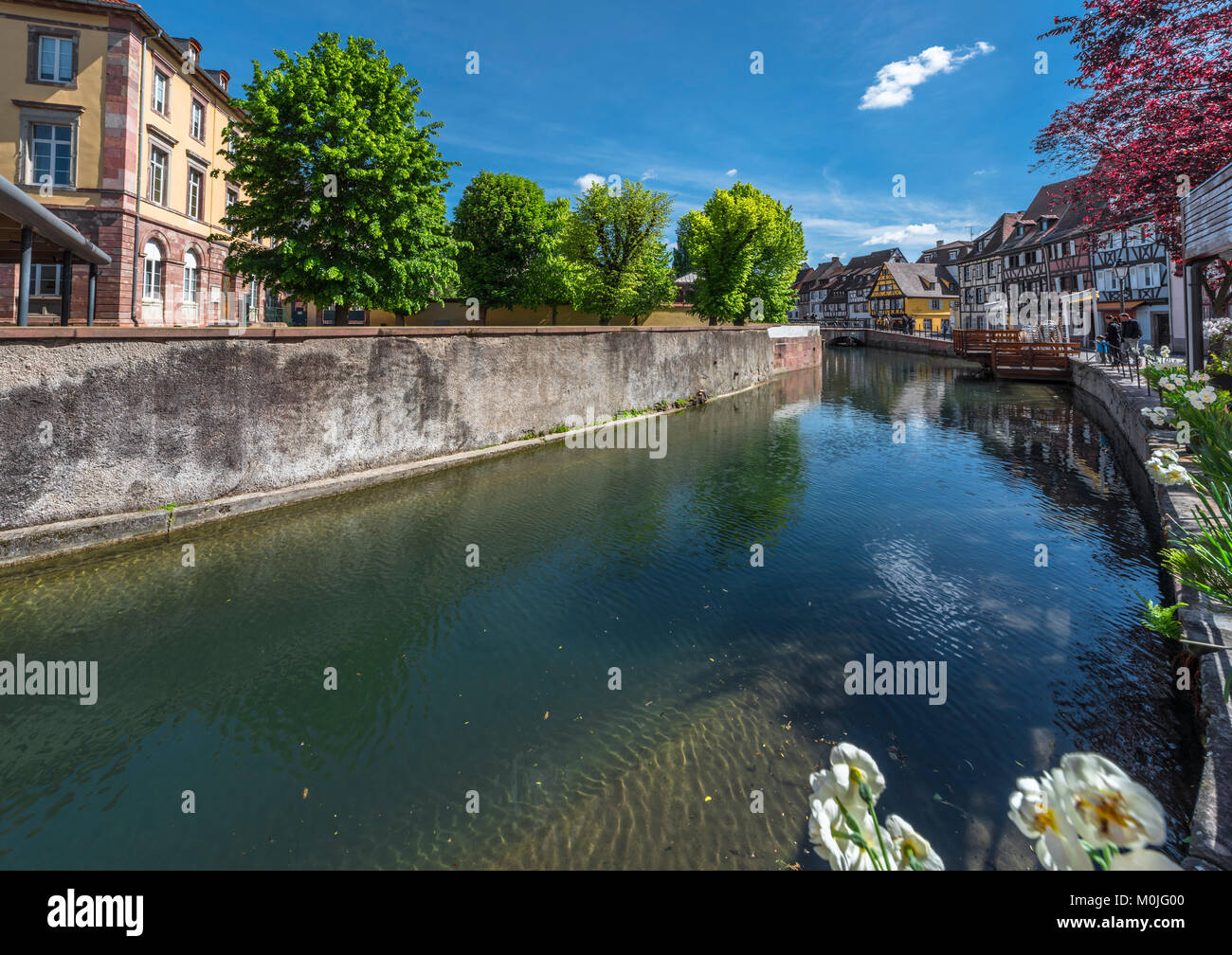 Passeggiate a La Petite Venise trimestre. Colmar Foto Stock