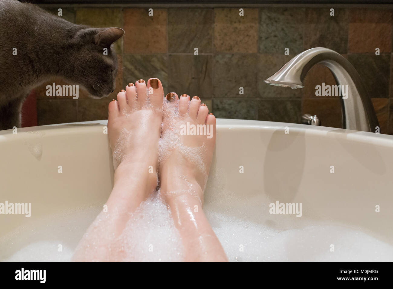 Un gatto grigio controlla le bolle su una donna di piede come lei assorbe in un bagno di bolle Foto Stock