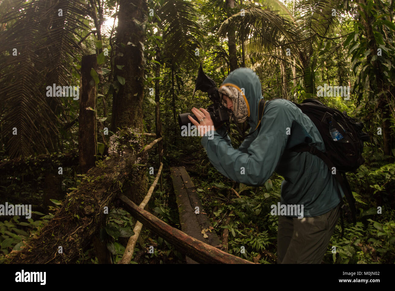 Un fotografo di natura delle pause per fotografare qualcosa nella foresta amazzonica. Foto Stock