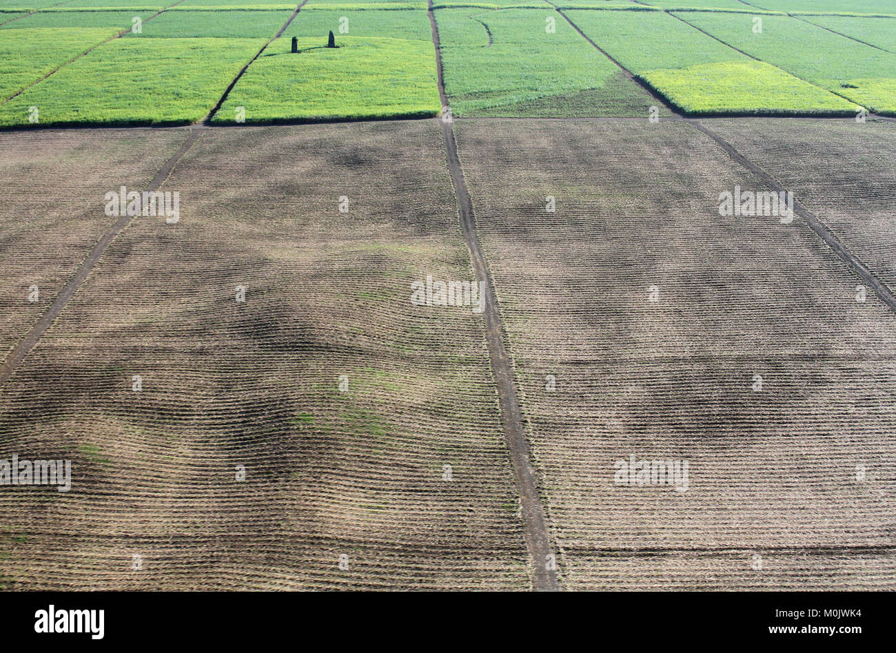 Vista aerea di campi agricoli da un elicottero, la Repubblica di Maurizio. Foto Stock