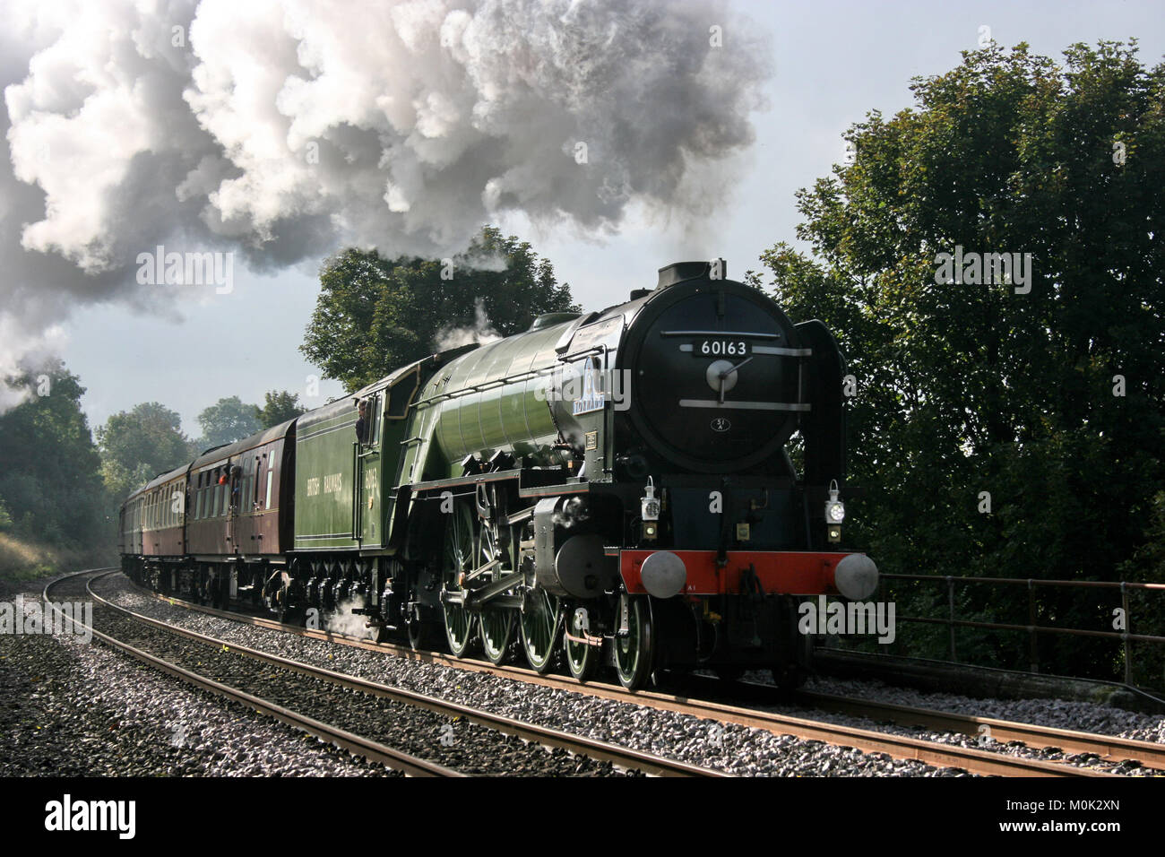 A1 locomotiva a vapore Tornado con un Worcester a Carlisle Railtour - Langliffe, nello Yorkshire, Regno Unito - 10 Ottobre 2009 Foto Stock