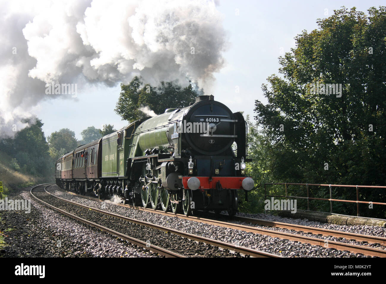 A1 locomotiva a vapore Tornado con un Worcester a Carlisle Railtour - Langliffe, nello Yorkshire, Regno Unito - 10 Ottobre 2009 Foto Stock