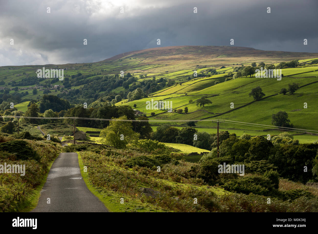 Calver collina nei pressi di Reeth in Swaledale, Yorkshire Dales, Inghilterra. La luce del sole che splende su linea di fili al di là della strada. Foto Stock