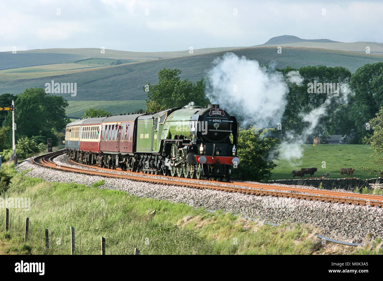 A1 locomotiva a vapore Tornado con un Carlisle a Crewe Railtour - Hellifield, nello Yorkshire, Regno Unito - 24 giugno 2010 Foto Stock