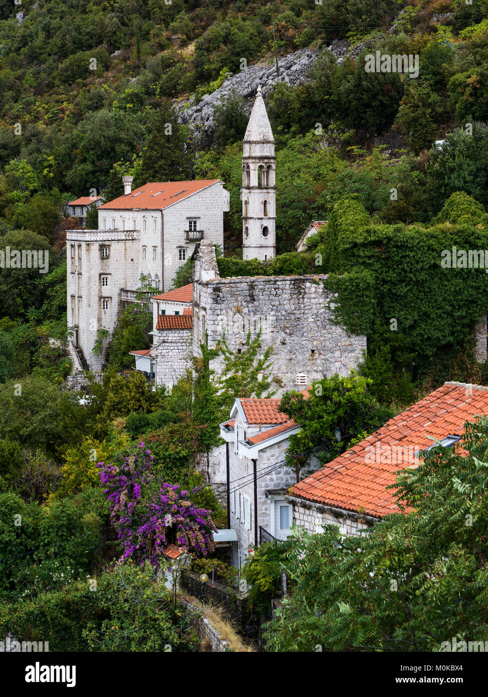 Vecchi edifici in pietra sul fianco di una collina circondata da alberi e foglie; Montenegro Foto Stock