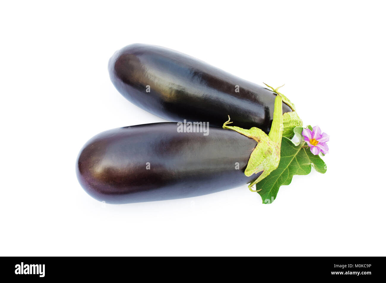 Melanzane fresche con fiori e foglie, isolato su uno sfondo bianco Foto Stock