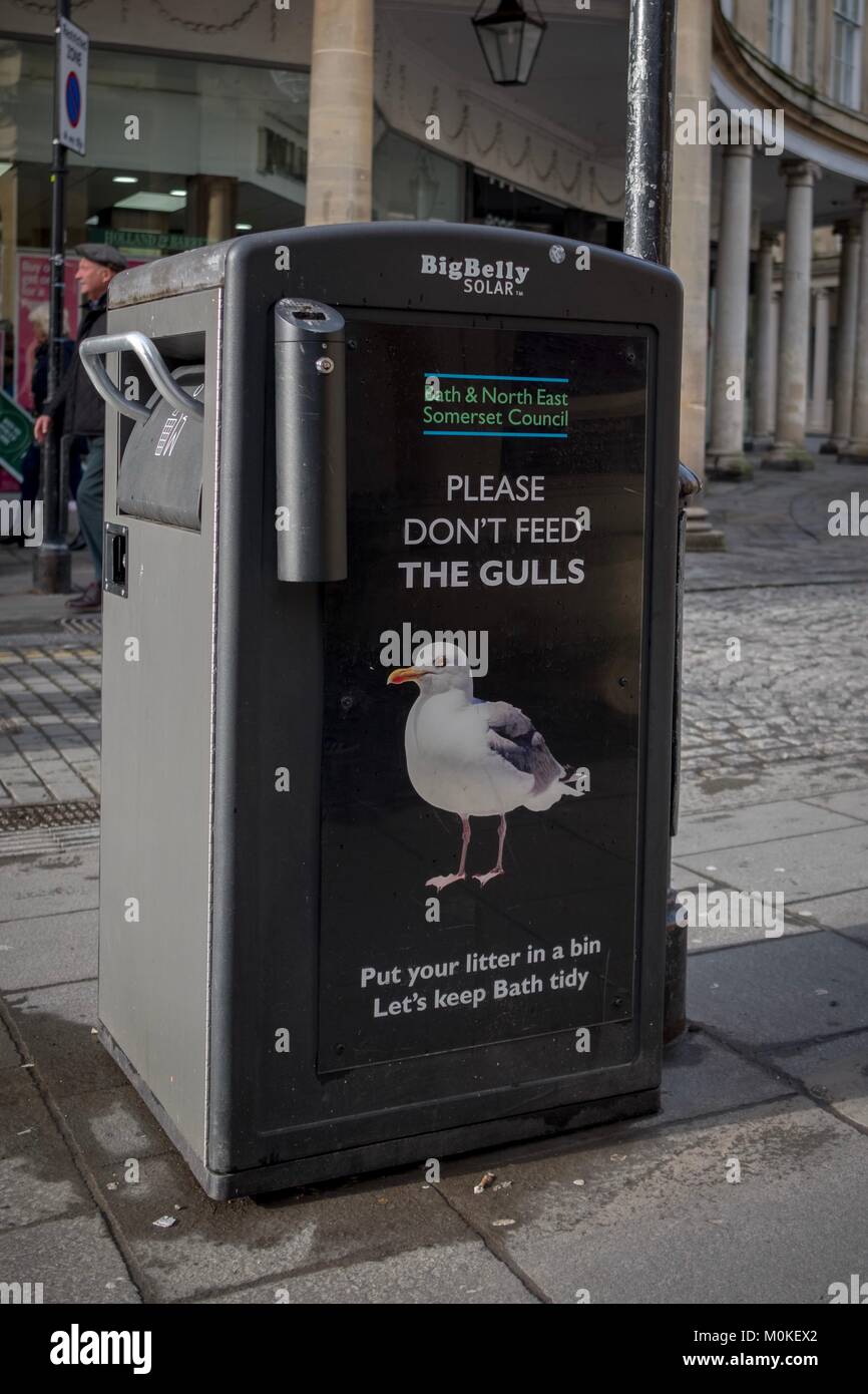 Vi prego di non alimentare il gabbiani segno su bin nella città di Bath Foto Stock