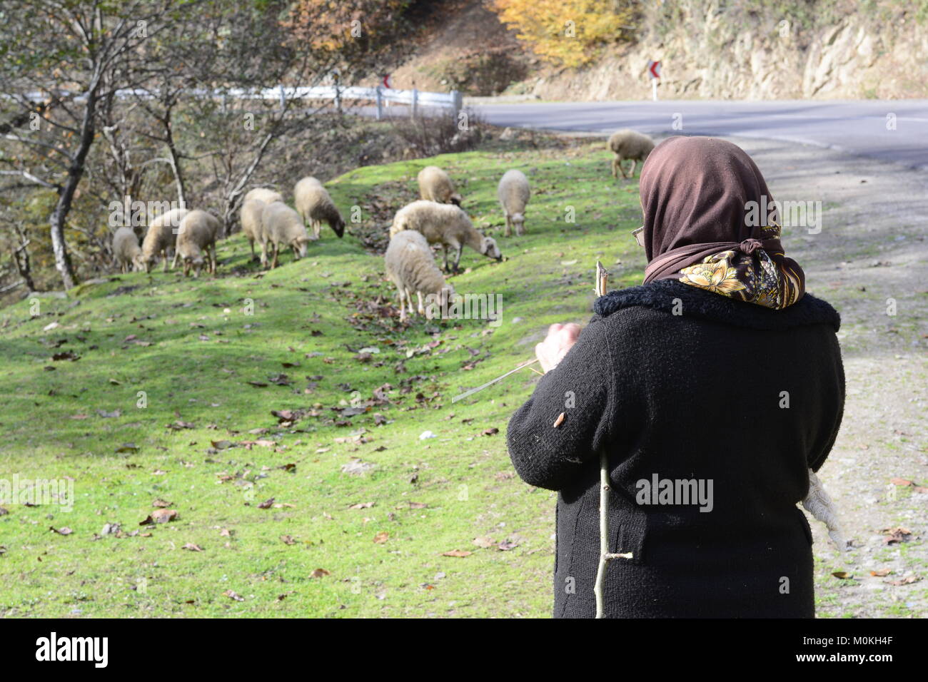 Masuleh, IRAN - 22 dicembre 2017 anziani herder donna accanto alla strada rurale. Provincia Gilan Foto Stock
