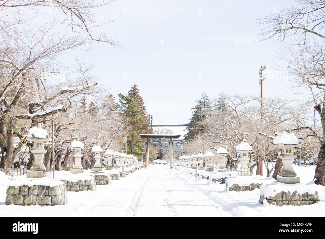 23 Gennaio 2018 Un lo Shintoismo giapponese (religione etnica) Santuario Gate (Torii) e le sue lanterne di pietra (toro) ricoperta di neve Foto Stock