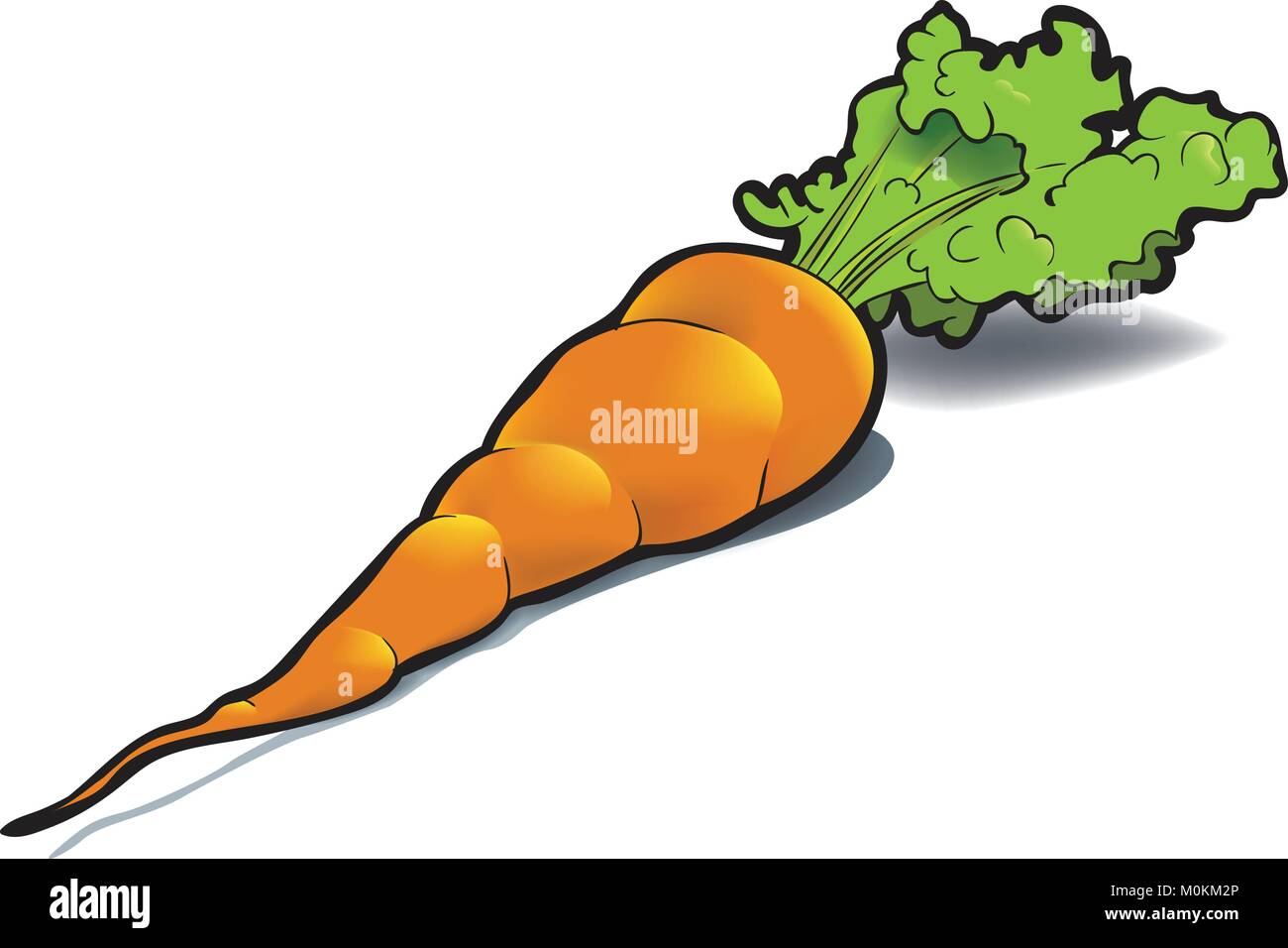 Un colorato disegno di una carota fresca, compresi i suoi frondosi superiore, su uno sfondo bianco questo è un sistema scalabile e modificabile il disegno vettoriale. Illustrazione Vettoriale