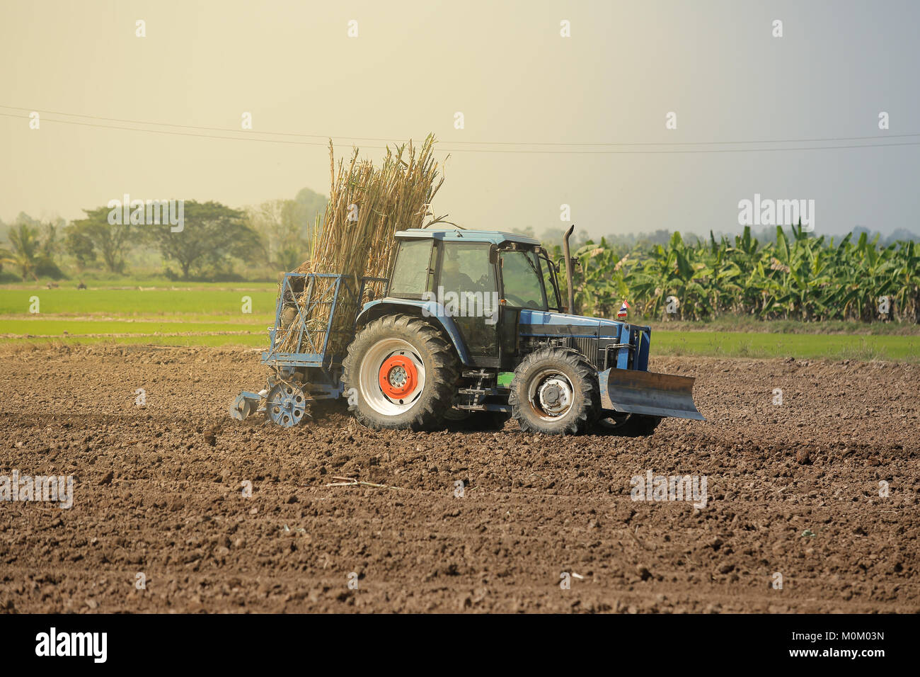 Macchina di canna da zucchero in clima tropicale. Foto Stock