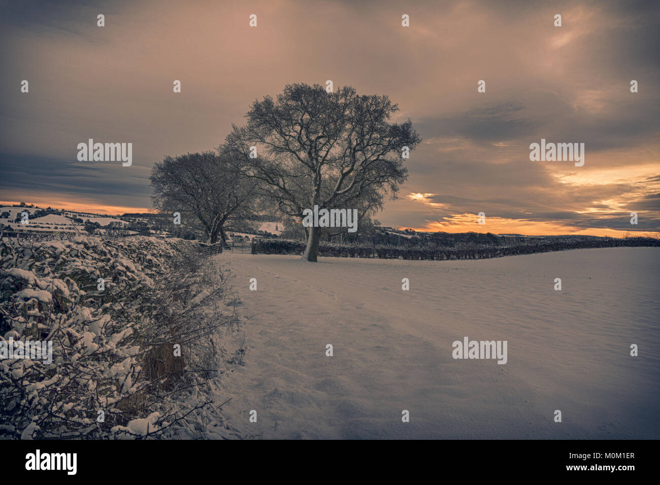 Dopo una nevicata nella Contea di Durham i campi e la campagna circostante sono coperti in una pesante coltre di neve fresca. Foto Stock