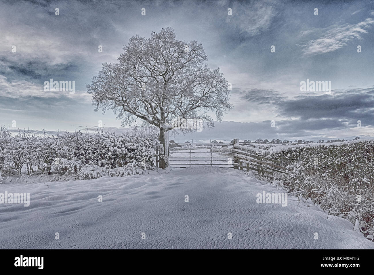 Dopo una nevicata nella Contea di Durham i campi e la campagna circostante sono coperti in una pesante coltre di neve fresca. Foto Stock