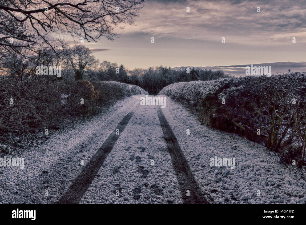 Dopo una nevicata un veicolo lascia tracce nella neve, lungo una strada di campagna di Howden Le usura, County Durham nelle prime ore del mattino. Foto Stock