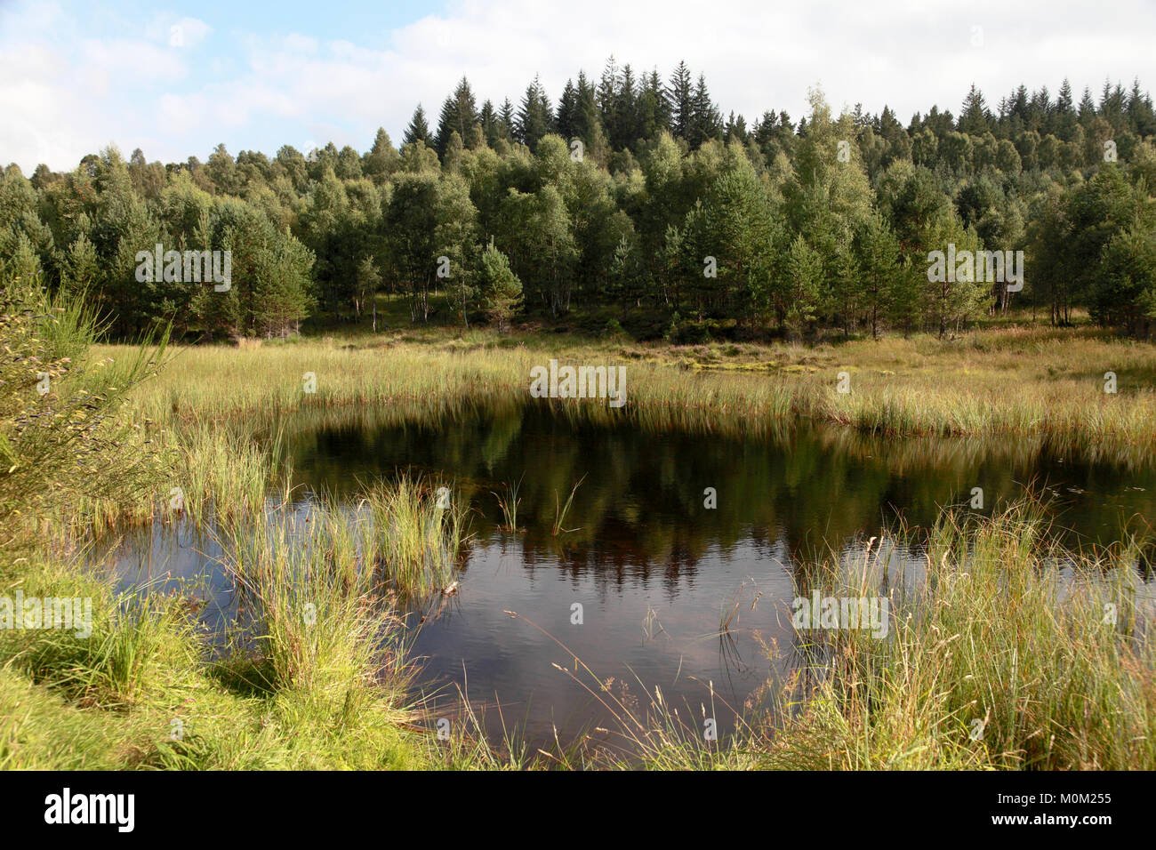 La Fata Lochan sul Glen Tanar tenuta vicino a Aboyne, Aberdeenshire, Scozia Foto Stock