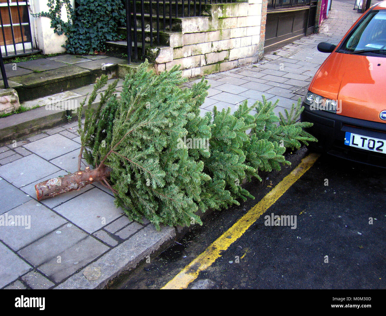 Scartato albero di natale a Londra, Inghilterra, Gran Bretagna Foto Stock