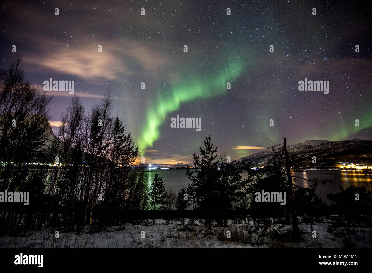 Northern Lights Dancing vicino a Narvik, Norvegia Foto Stock