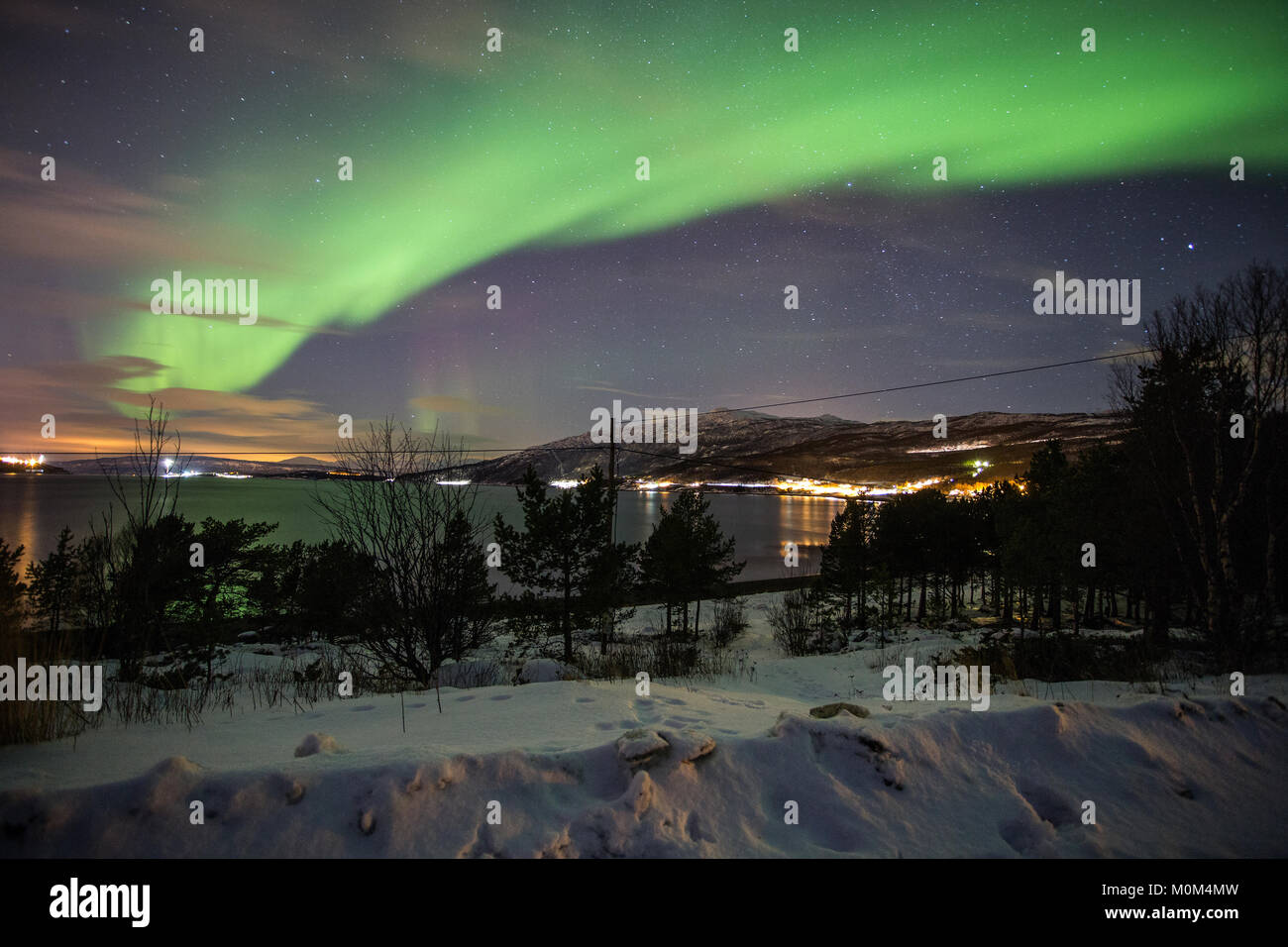 Aurora vicino a Narvik, Norvegia Foto Stock