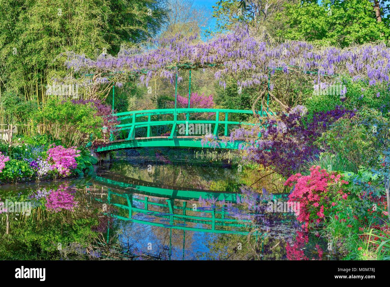 Francia,Eure,Giverny,Claude Monet Foundation,il giardino giapponesi con il  glicine in fiore Foto stock - Alamy