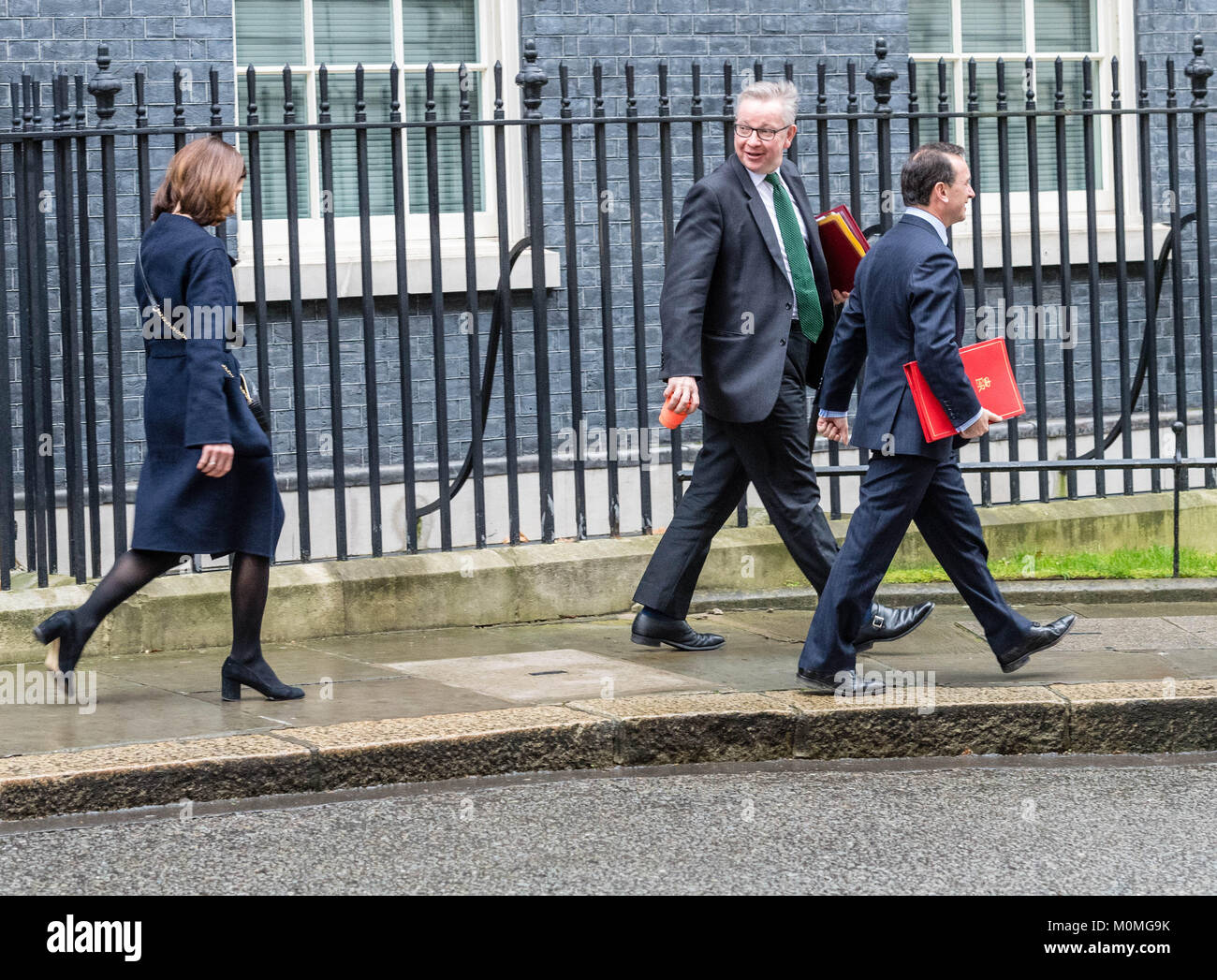 Londra, Regno Unito. 23 gennaio, 2018. Michael Gove, ambiente Secretar, (centro) lasciare 10 Downing Street a seguito di una riunione del gabinetto Credito: Ian Davidson/Alamy Live News Foto Stock