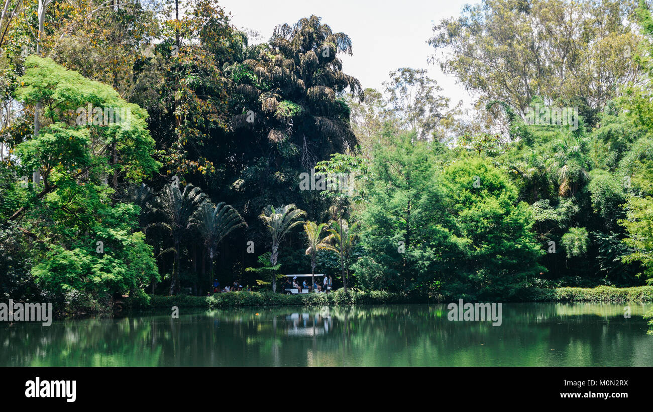 Inhotim Institute è un museo di arte contemporanea e il giardino botanico, Minas Gerais, Brasile - vero Rouge di Tunga Foto Stock