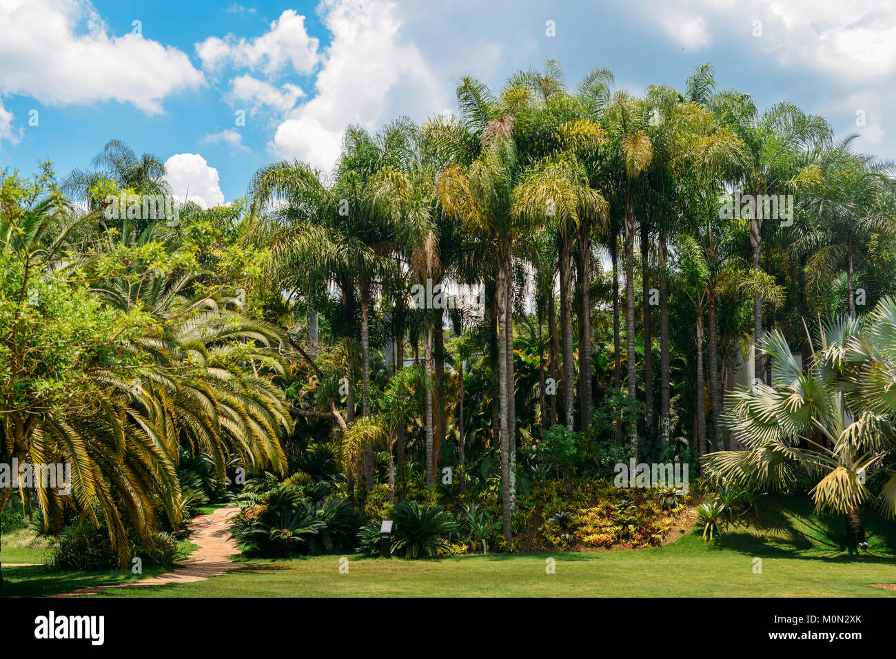 Inhotim Institute è un museo e il museo di arte contemporanea come pure un giardino botanico situato in Brumadinho nello stato brasiliano di Minas Gerais Foto Stock