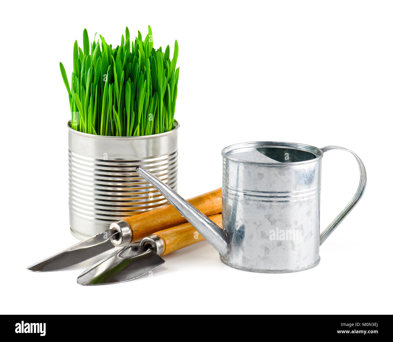 Giardino annaffiatoio e pentola di metallo con fresca erba verde sullo sfondo bianco. Giardino stagionale lavoro Foto Stock