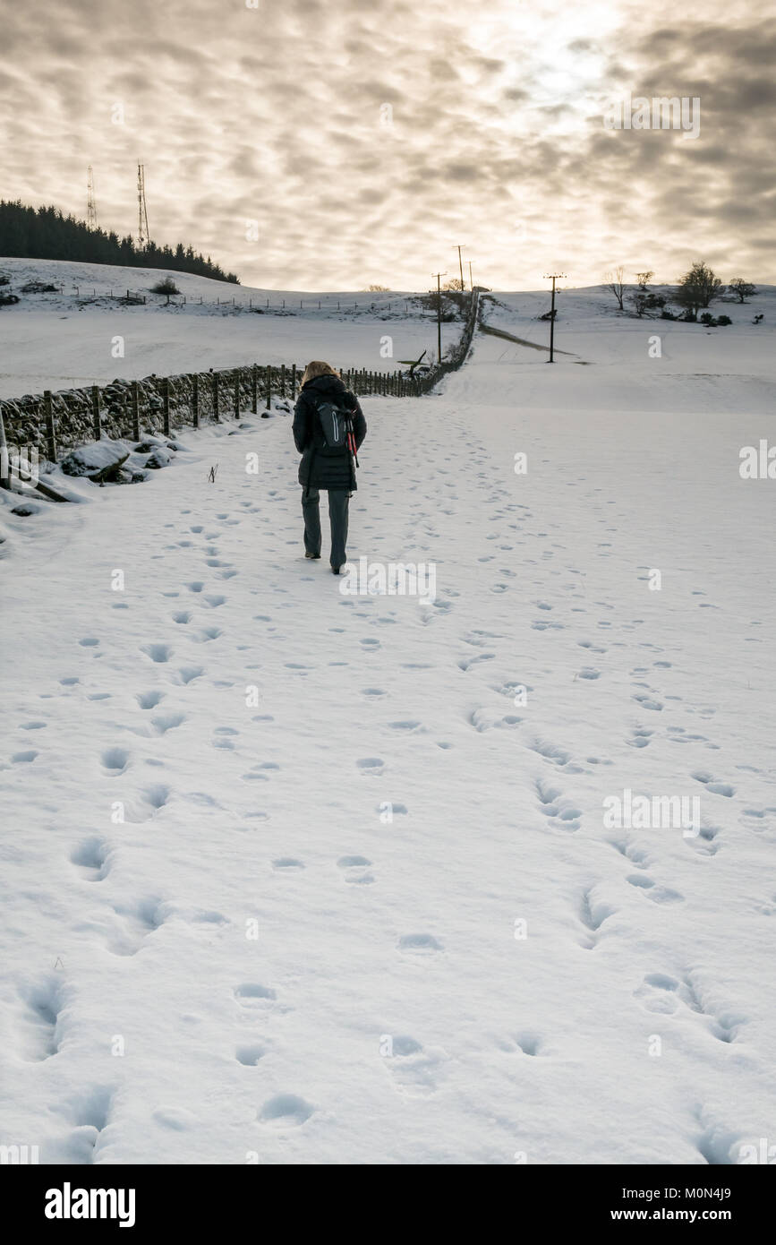 La donna a piedi nella neve in salita su sentiero tra Langbank e Kilmacolm, Strathclyde, Scozia, con chiazze cielo nuvoloso Foto Stock