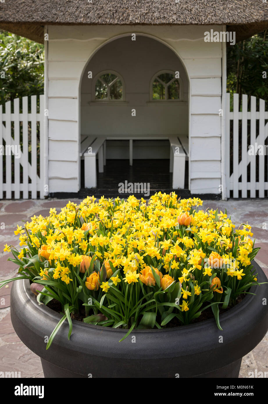 Tulpenbeete im Niederlande Keukenhof Keukenhof - Paesi Bassi Foto Stock