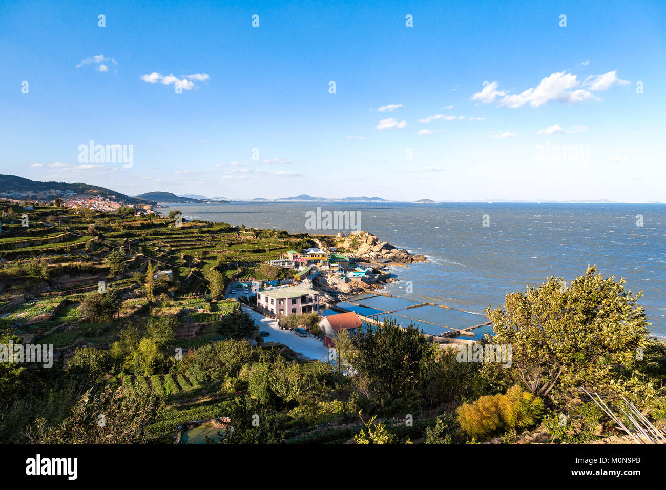 La costa di Laoshan National Park, punteggiata con molte terrazze di tè e di villaggi di pescatori, Qingdao, Cina Foto Stock