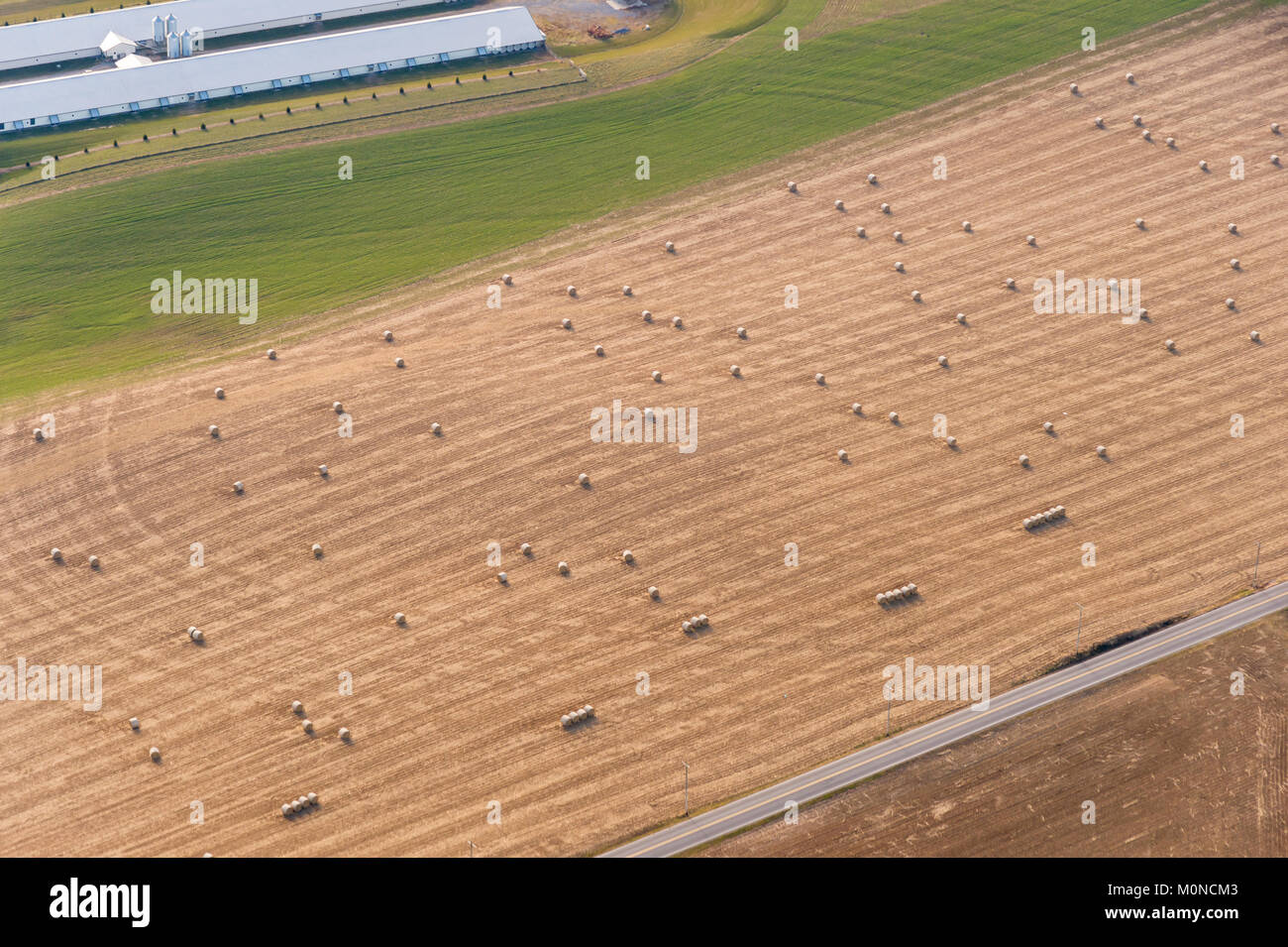Vista aerea di balle di fieno nel campo di fattoria Foto Stock