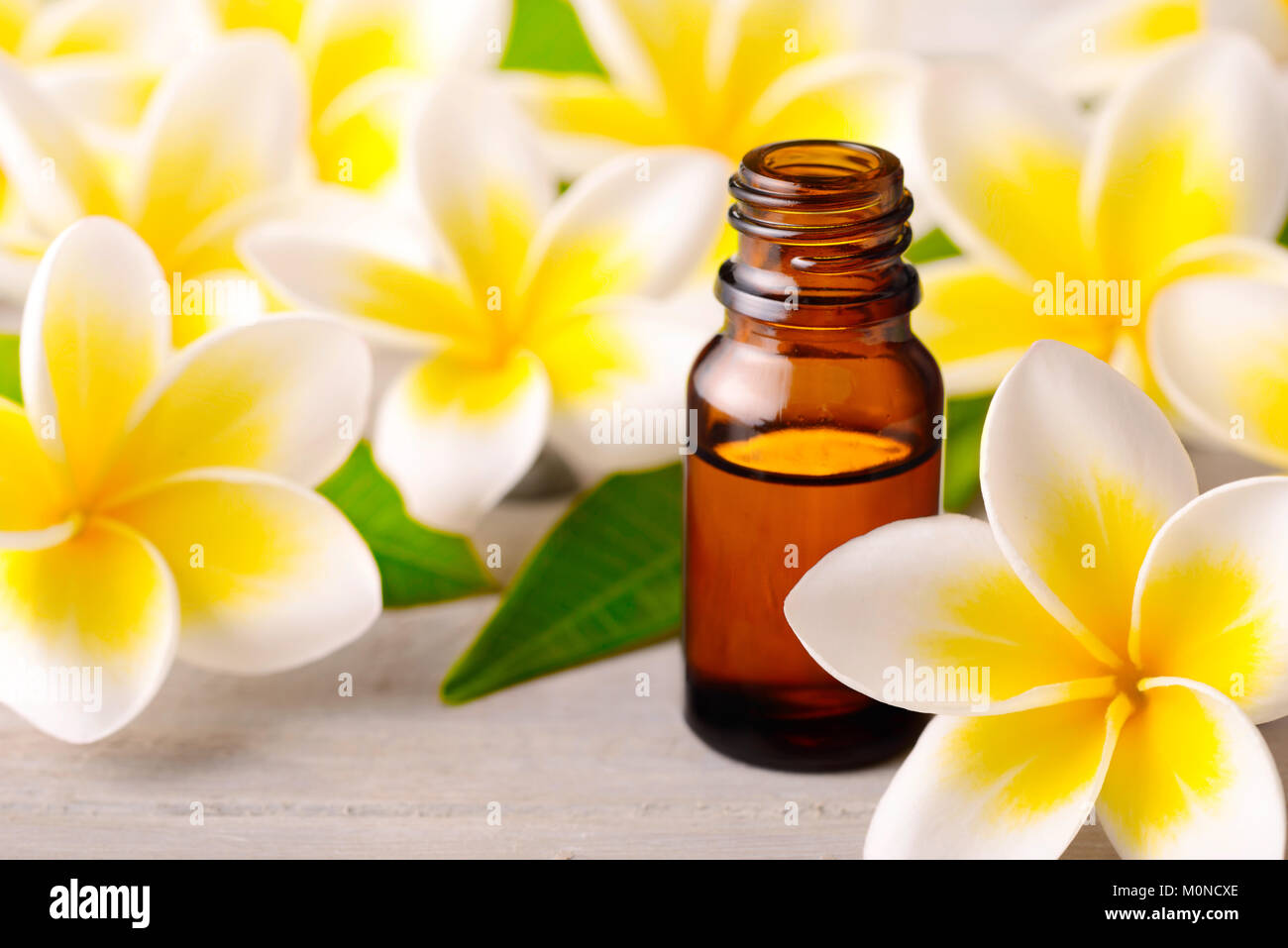 Fiori di plumeria Plumeria e olio essenziale profumo sul tavolo di legno Foto Stock