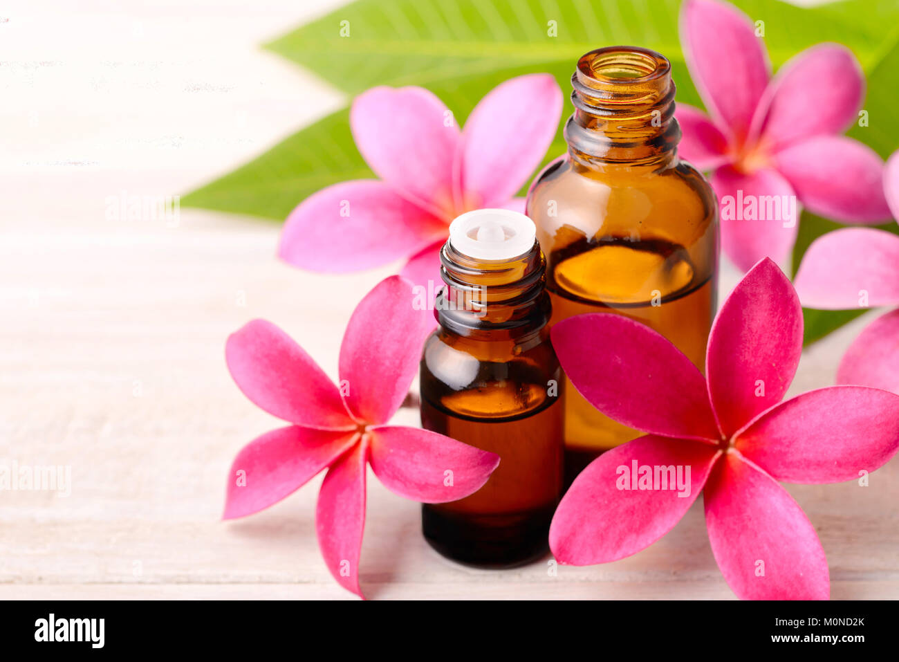 Fiori di plumeria Plumeria e olio essenziale profumo sul tavolo di legno Foto Stock