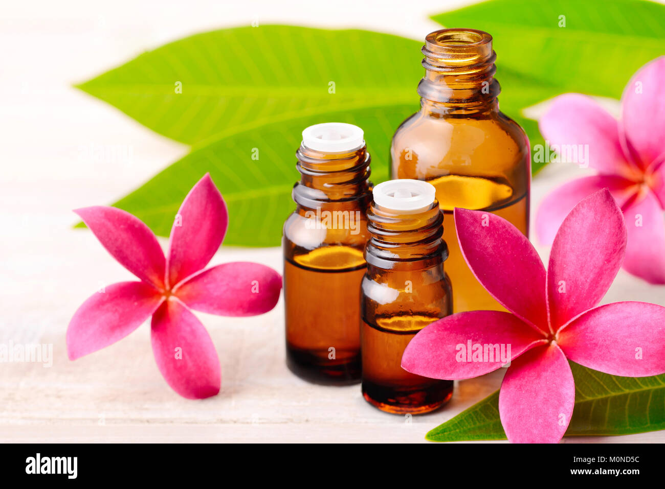 Fiori di plumeria Plumeria e olio essenziale profumo sul tavolo di legno Foto Stock