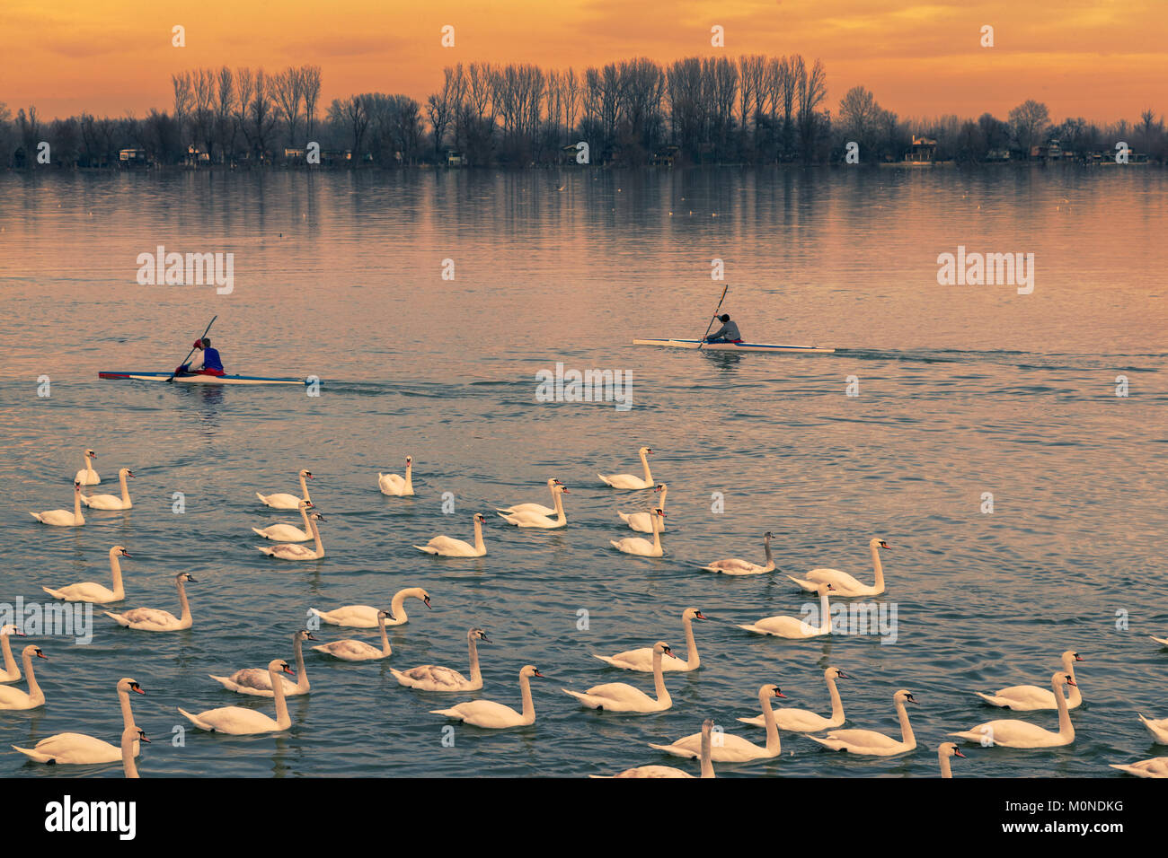 Tramonto nel fiume Danubio a Belgrado in Serbia Foto Stock