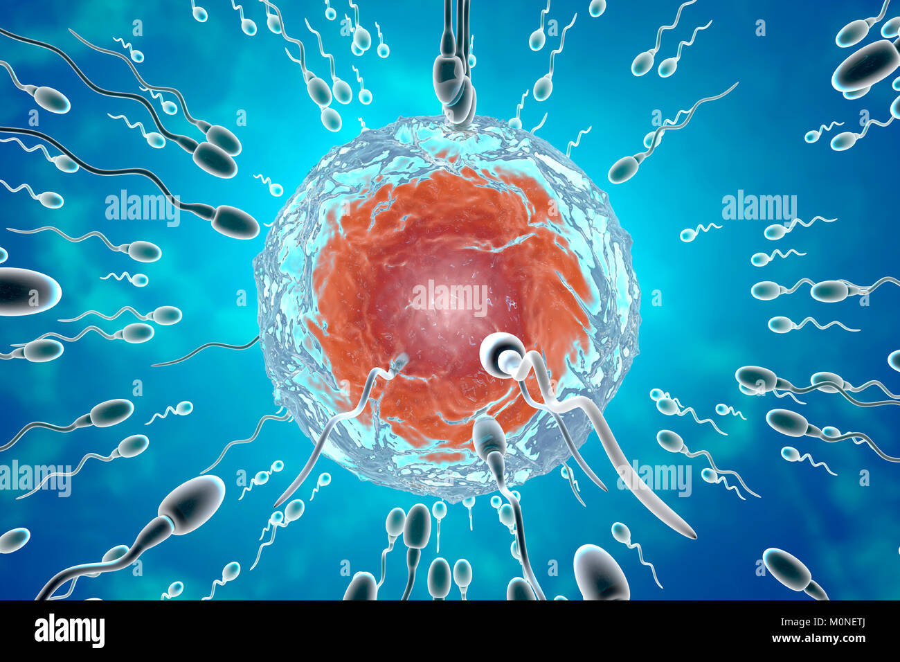 Inseminazione, rendering 3D Foto Stock