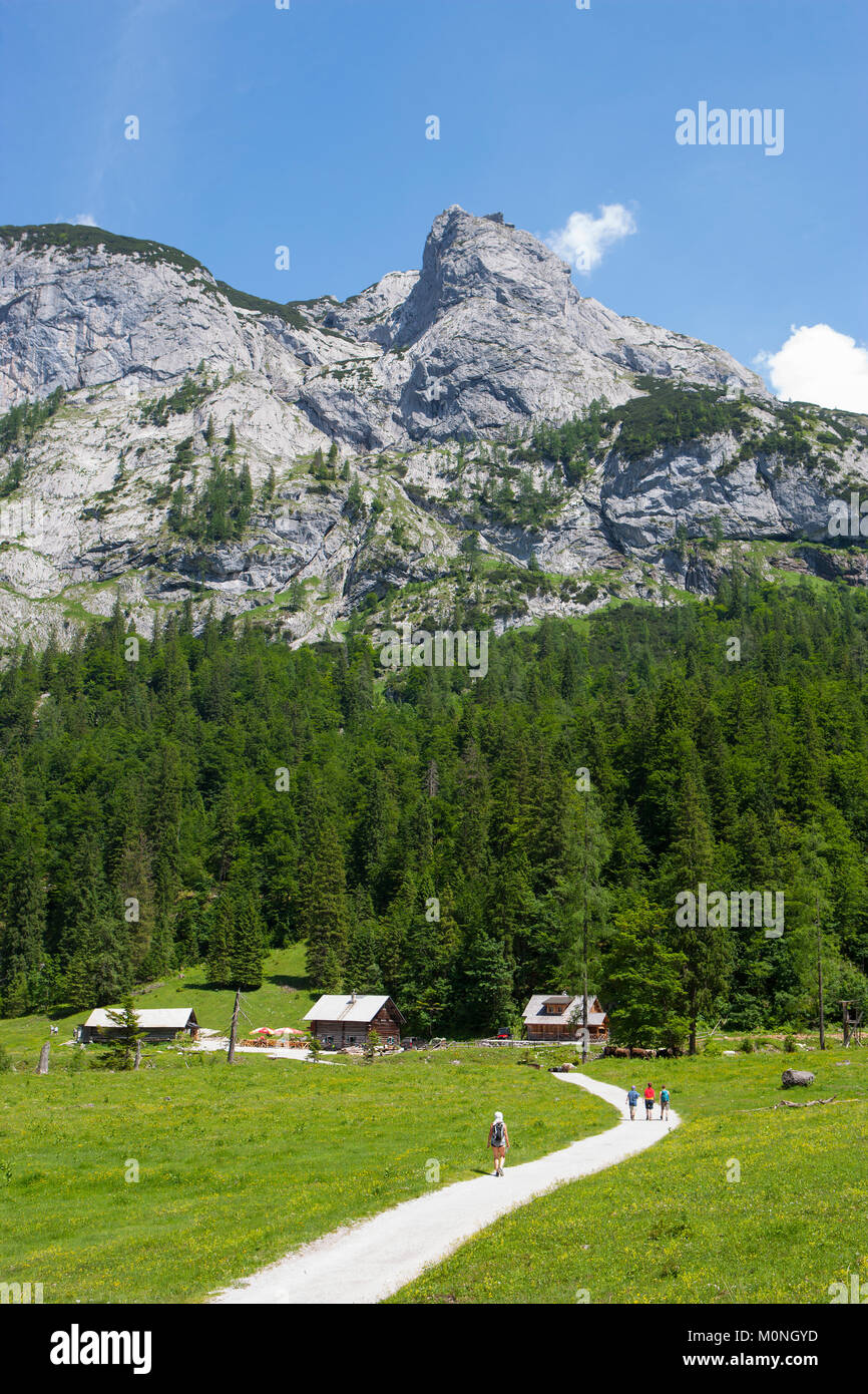 Austria, Austria superiore, regione del Salzkammergut, Gosau, Holzmeisteralm, massiccio Dachstein Foto Stock
