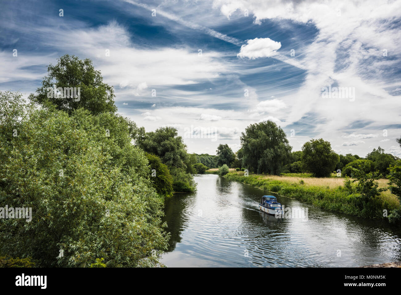 ￼fiume Nene che fluisce attraverso il bosco in prossimità di Peterborough, CAMBRIDGESHIRE, in una calda serata estiva Foto Stock