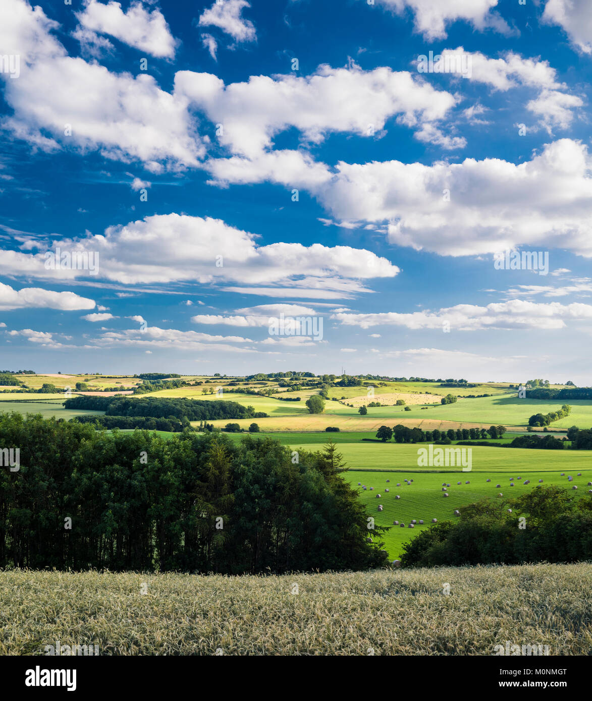 Una serata estiva in Lincolnshire Wolds, la collina di rotolamento uplands underlain dal Cretaceo rocce sedimentarie, principalmente di Chalk. Foto Stock