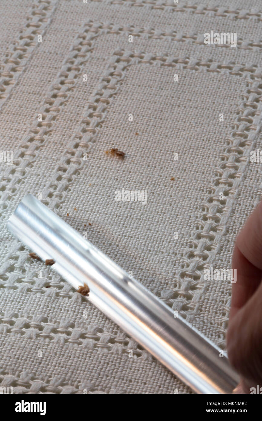 Rimozione del frantumatore briciole da Lino Placemat Foto Stock