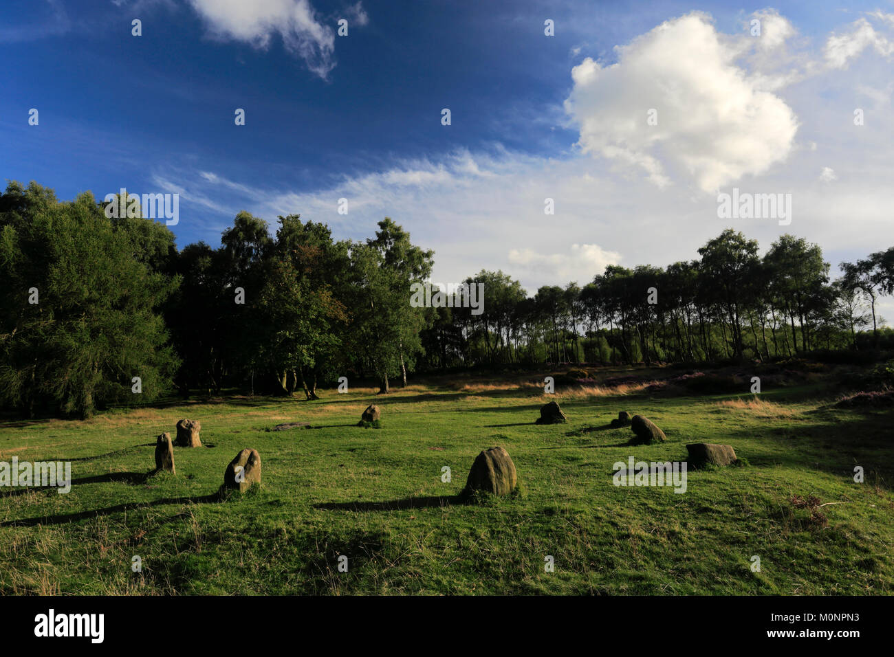9 Signore cerchio di pietra su Stanton Moor, Parco Nazionale di Peak District, Derbyshire, England, Regno Unito Foto Stock