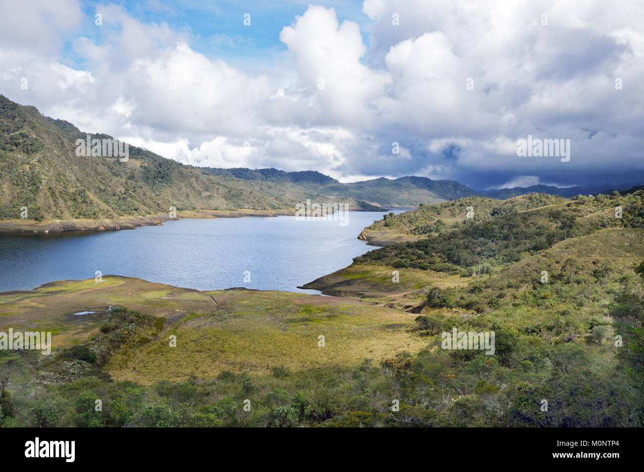 Situato nelle Ande colombiano, il Chingaza Nazionale Parco naturale è importante per la tundra alpina conosciuta come paramo e molti paesi andini endemici. Foto Stock