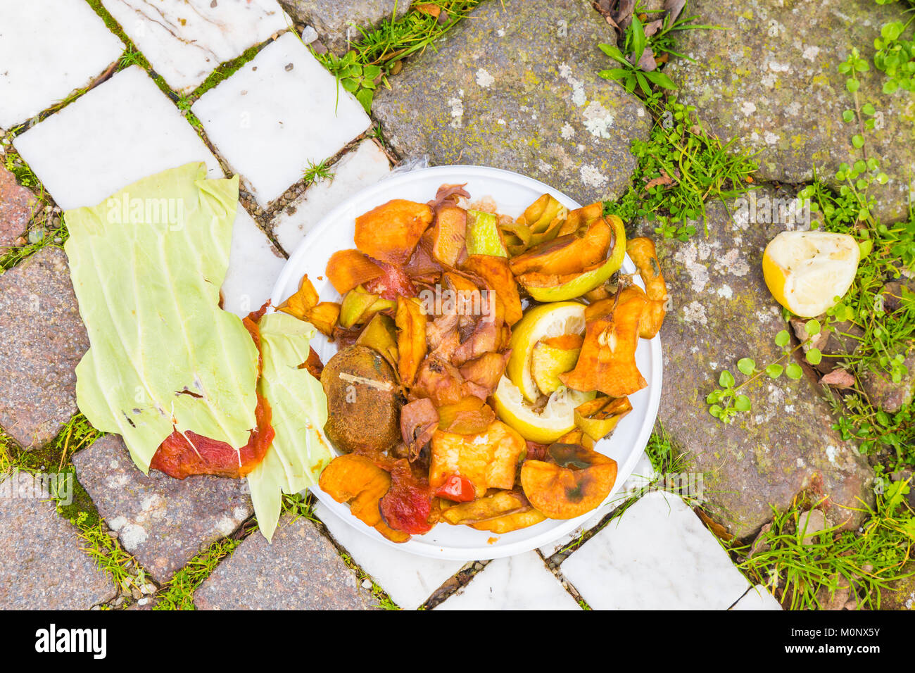 Abbandonato il cibo a sinistra su una piastra di plastica sinistra sul pavimento. Foto Stock