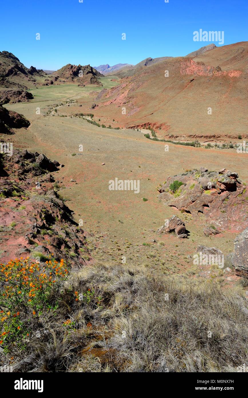 Vista sulla valle arida valle Encantado,Los Cardones Parco Nazionale,Ruta RP 33,provincia di Salta,Argentina Foto Stock