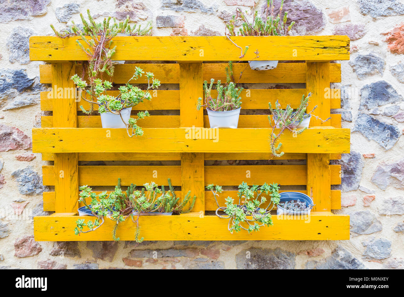 Pallet di legno attaccato ad un vecchio muro utilizzato come un vaso di  fiori Foto stock - Alamy
