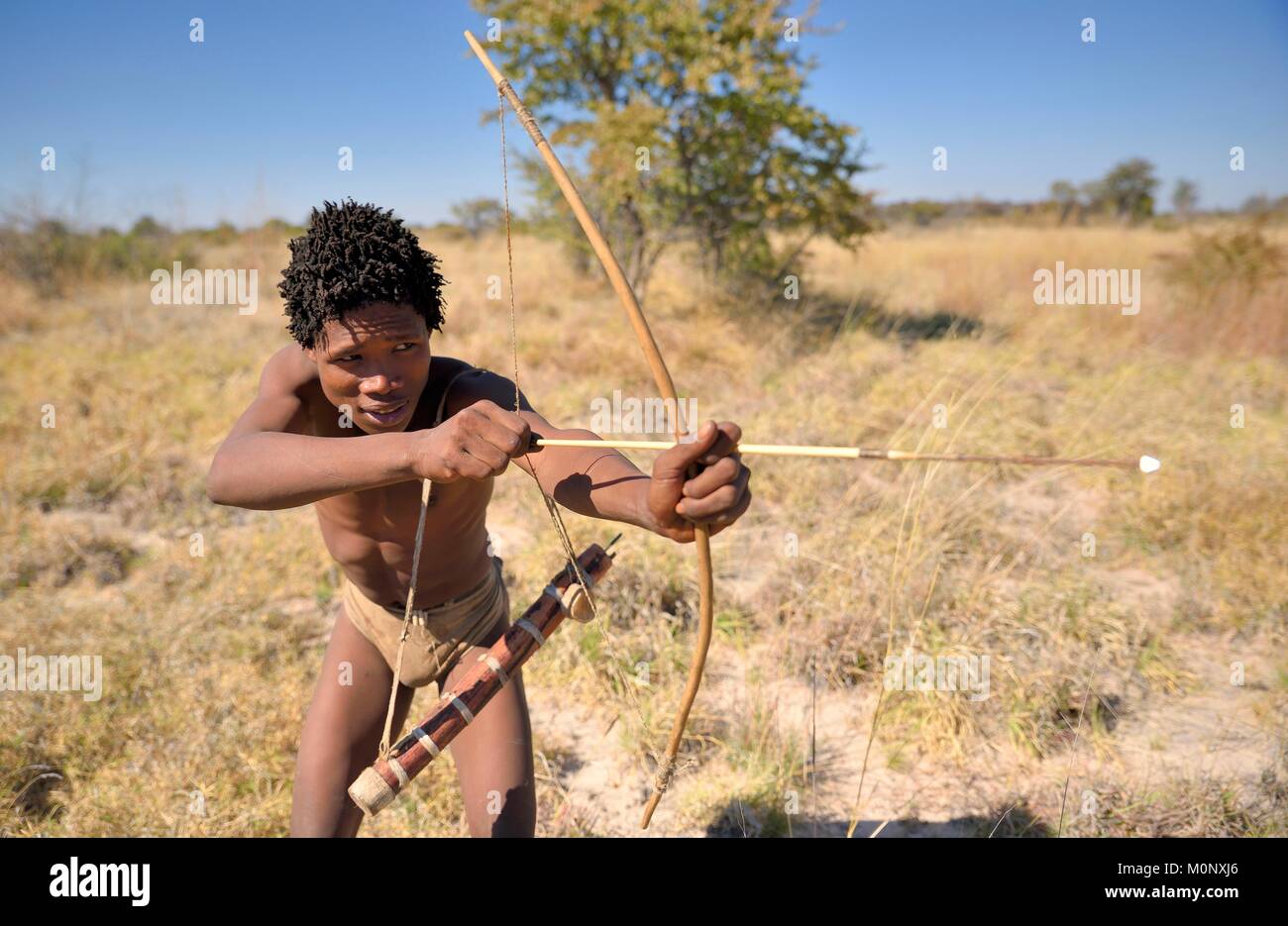 Bushman del Ju/' Hoansi-San con arco e frecce mentre caccia,village //Xa/oba,vicino Tsumkwe,Otjozondjupa regione,Namibia Foto Stock