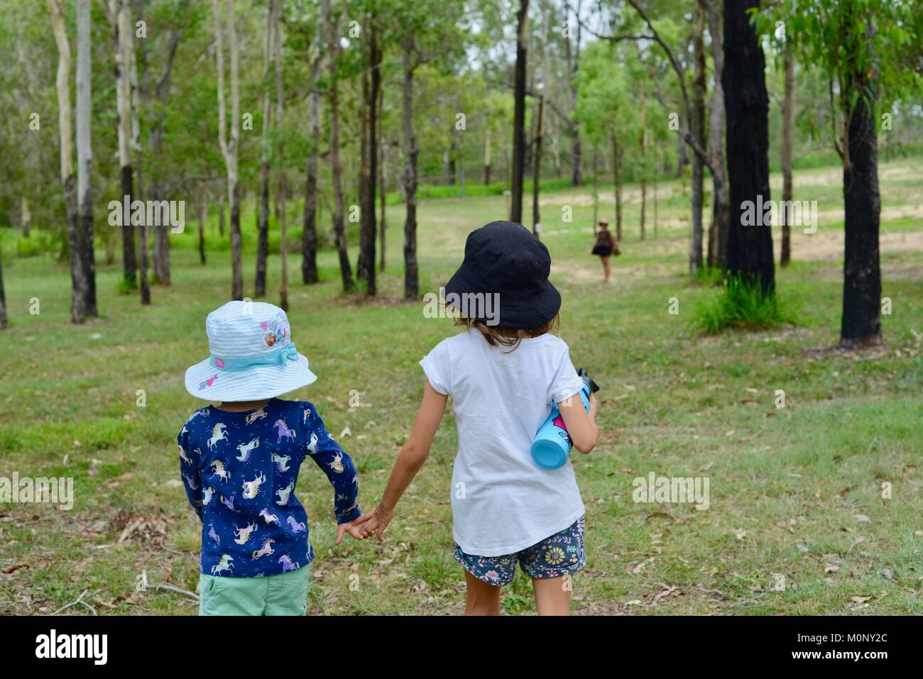 I bambini si tengono per mano mentre si cammina lungo una pista sterrata in un campo tra una foresta, Herveys patrimonio di gamma camere di tè, Queensland, Australia Foto Stock