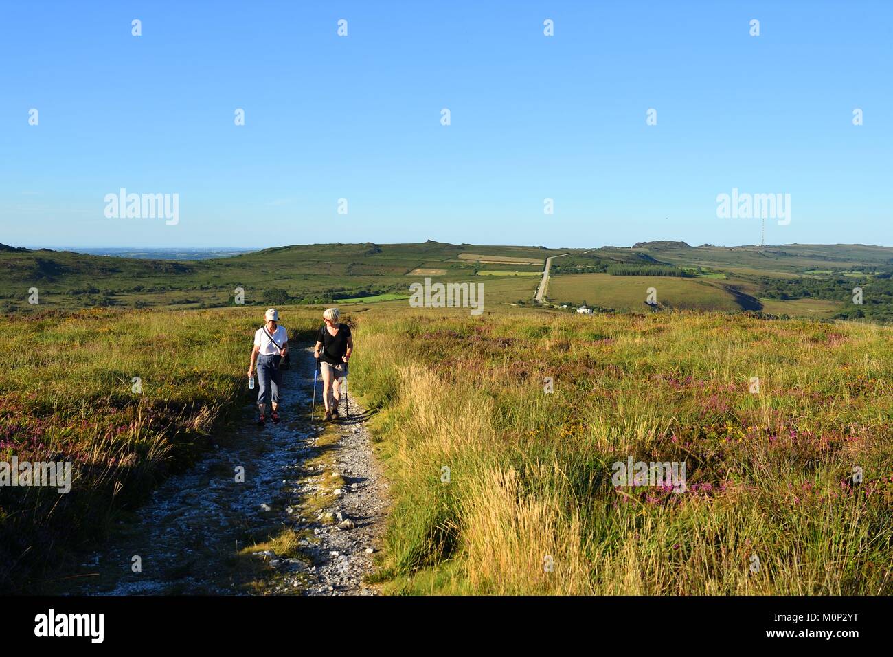 Francia,Finisterre,Parc Naturel Regional d'Armorique Armorica (Parco Naturale Regionale),Saint Rivoal,Monts d'Arree,escursionismo verso il Mont Saint Michel de Brasparts Foto Stock