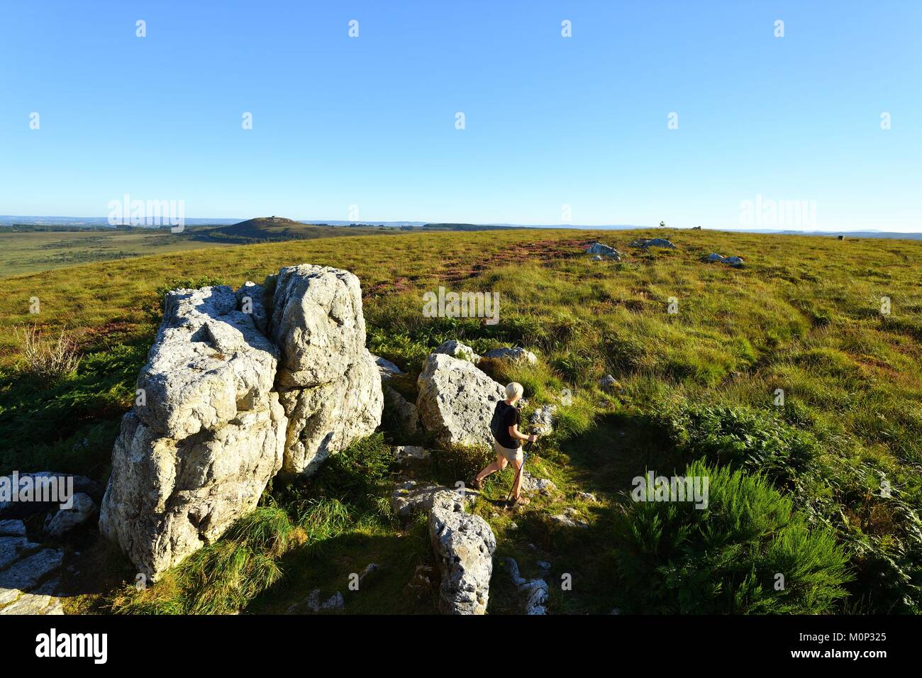 Francia,Finisterre,Parc Naturel Regional d'Armorique Armorica (Parco Naturale Regionale),Saint Rivoal,Monts d'Arree,escursionismo verso il Mont Saint Michel de Brasparts Foto Stock